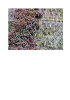 La Repubblica  23 mai 2013, Vertical Garden by Patrick Blanc