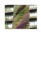 La Repubblica  23 mai 2013, Vertical Garden by Patrick Blanc