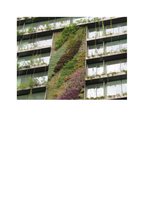 La Repubblica  23 mai 2013, Vertical Garden by Patrick Blanc