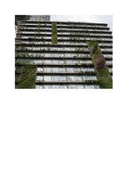 La Repubblica  23 mai 2013, Vertical Garden by Patrick Blanc