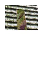La Repubblica  23 mai 2013, Vertical Garden by Patrick Blanc