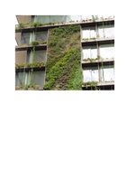 La Repubblica  23 mai 2013, Vertical Garden by Patrick Blanc