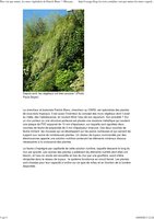 La Croix 11 sept 2013, Vertical Garden by Patrick Blanc