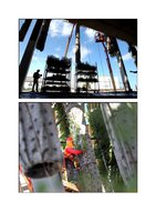 Miamiherald.com 21 Oct 2013, Vertical Garden by Patrick Blanc