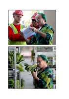 Miamiherald.com 21 Oct 2013, Vertical Garden by Patrick Blanc