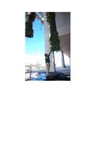 Socialmiami.com 21 oct 2013, Vertical Garden by Patrick Blanc