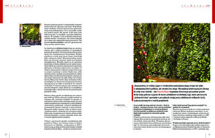 The World of Architecture, Polish, Jan 2014, Vertical Garden by Patrick Blanc