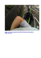 ABC.net.au  Australia 22 March 2014, Vertical Garden by Patrick Blanc