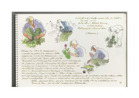 Festival international des Jardins, Chaumont-sur-Loire, 1994, aquarelles Fabrice Moireau