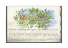 Festival international des Jardins, Chaumont-sur-Loire, 1994, aquarelles Fabrice Moireau