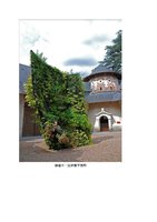 www.douban.com cn, Vertical Garden by Patrick Blanc