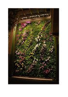 www.iarch.cn, Vertical Garden by Patrick Blanc