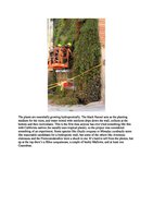 Drystonegarden.com Jan 2012, Vertical Garden by Patrick Blanc