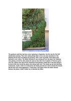 Drystonegarden.com Jan 2012, Vertical Garden by Patrick Blanc