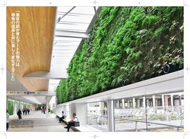 Yamaguchi Oct 2015, Vertical Garden by Patrick Blanc