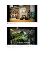 www.financialtimes.com  20 November 2015, Vertical Garden by Patrick Blanc