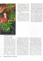 Telerama, Mai 1995, Vertical Garden by Patrick Blanc