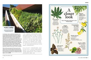 Luxos Hong Kong August 2017, Vertical Garden by Patrick Blanc