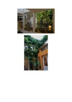 www.lemonde.fr 20 mars 2017, Vertical Garden by Patrick Blanc