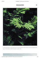 Audi Magazine August 2018, Vertical Garden by Patrick Blanc