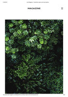 Audi Magazine August 2018, Vertical Garden by Patrick Blanc