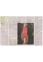 Libération, 15 décembre 2006, Patrick Blanc, Exposition Electra