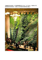 hcfzs nov 2018 Patrick Blanc 