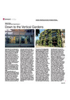 2019 Visone Compasses Patrick Blanc