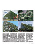 2019 Visone Compasses Patrick Blanc