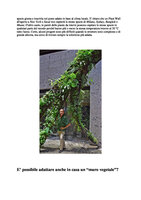 Icon Panorama Patrick Blanc juin 2021