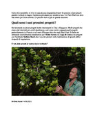 Icon Panorama Patrick Blanc juin 2021