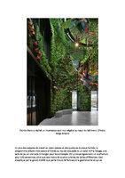 Bienvenue dans The Jungle de Creutz &amp; Partners,  Patrick Blanc, Avril 2021