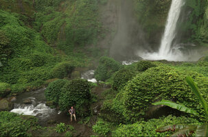 Ile Maison Patrick Blanc Spring 2022