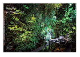 Brutus January 2023 Patrick Blanc