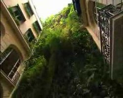 creaturefree, Patrick Blanc, Vertical Garden interview in Paris