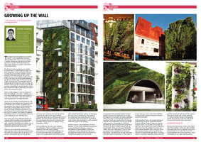 The Guru, spring 2010