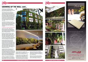 The Guru, spring 2010