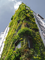 Polish - re:design Nov 2010