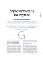 Polish - re:design Nov 2010