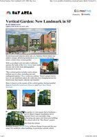 Bay Area SF Feb 11th