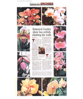 Riverdale Press Focus on Orchids March 2012