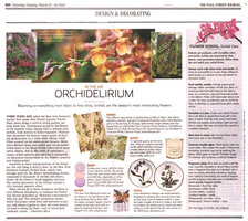 WSJ Orchidelirium March 2012