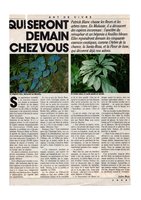 VSD Avril 1988, Vertical Garden by Patrick Blanc