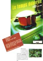 Le temps déborde, Exposition, Le Blanc Mesnil, Janv. 2000, Vertical Garden by Patrick Blanc