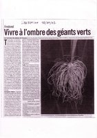 Libération - Octobre 2002, Vertical Garden by Patrick Blanc