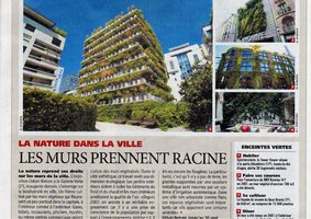 Direct Matin Murs Végétaux 7 sept 2010, Vertical Garden by Patrick Blanc