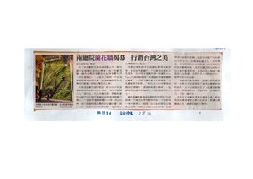 Taipei Orchid Vertical Garden - 2009, Vertical Garden by Patrick Blanc