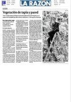 La Razón Jardín Vertical Caixa Forum - Jul 2007, Vertical Garden by Patrick Blanc