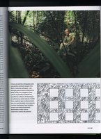 Portugais - Geo Brazil - 2011, Vertical Garden by Patrick Blanc