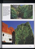 Portugais - Geo Brazil - 2011, Vertical Garden by Patrick Blanc